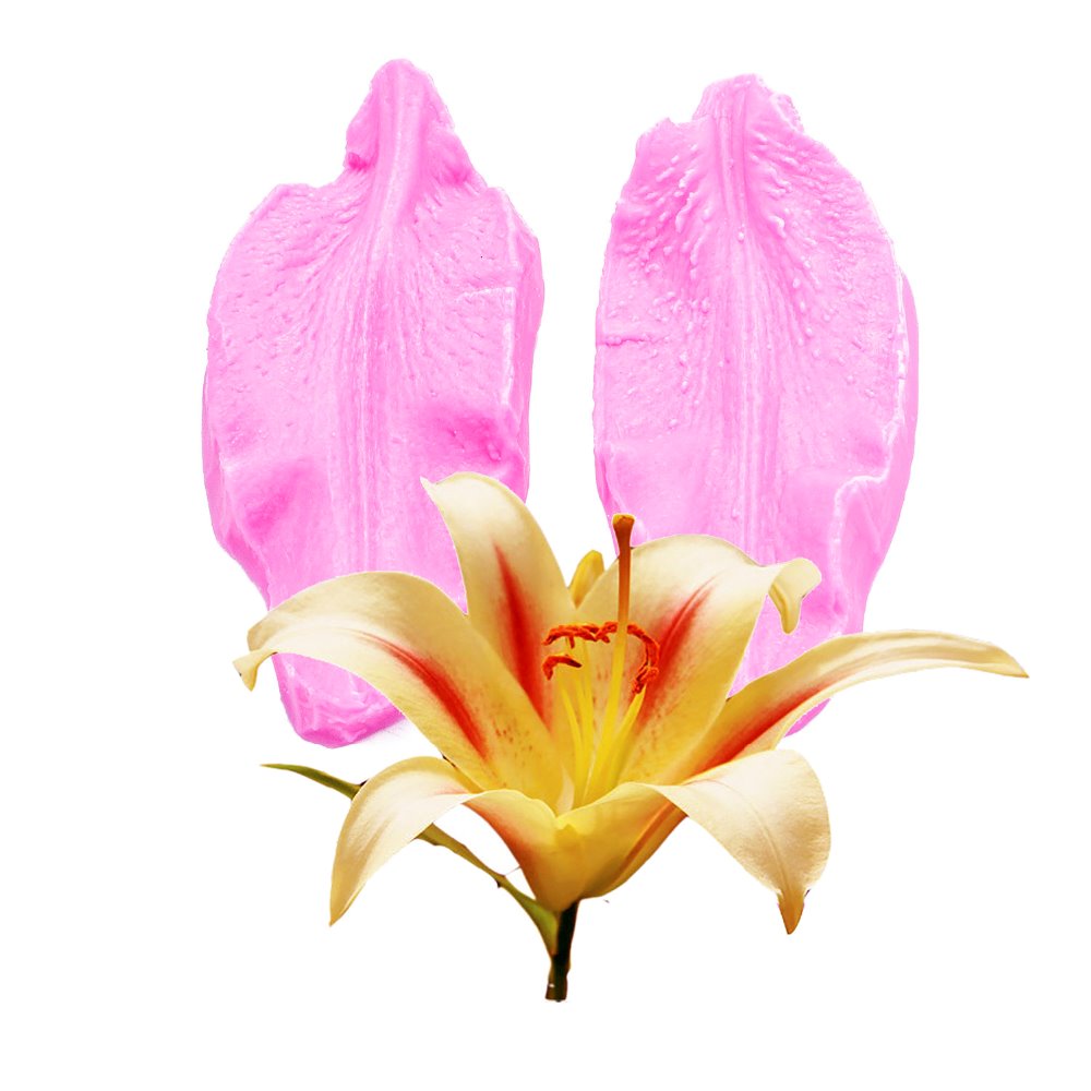 Lily Flower Leaf Embosser Printing Chocolate Wedding Decoration Silicone Mold Baking Fondant Sugar Process Kitchen Baking F-1014
