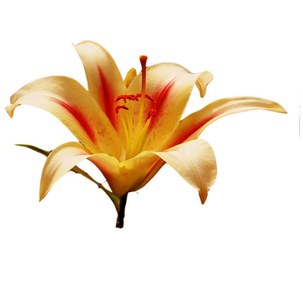 Lily Flower Leaf Embosser Printing Chocolate Wedding Decoration Silicone Mold Baking Fondant Sugar Process Kitchen Baking F-1014