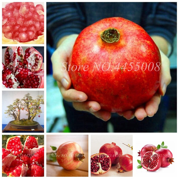 50pcs / bag Red Pomegranate Fruit Home Plant Outdoor Delicious Fruta Tree Bonsai Very Big &Sweet for Home Garden Planting