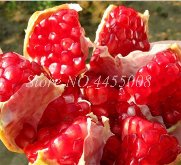 50pcs / bag Red Pomegranate Fruit Home Plant Outdoor Delicious Fruta Tree Bonsai Very Big &Sweet for Home Garden Planting