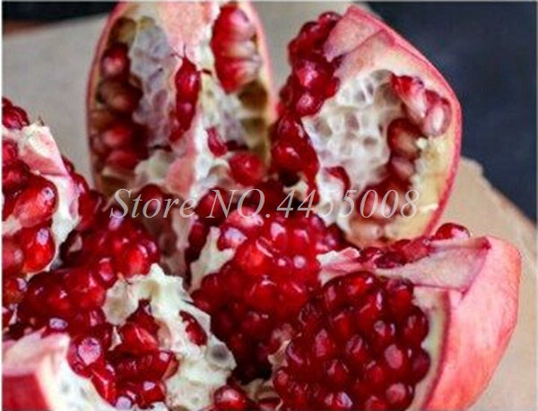 50pcs / bag Red Pomegranate Fruit Home Plant Outdoor Delicious Fruta Tree Bonsai Very Big &Sweet for Home Garden Planting