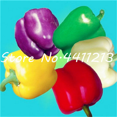 200Pcs Vegetable fruit pepper Bonsai, Giant chili plants + sweet pepper + Carolina Reaper" + hot chilli bonsai plant potted