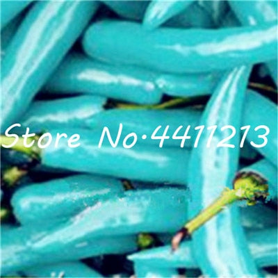 200Pcs Vegetable fruit pepper Bonsai, Giant chili plants + sweet pepper + Carolina Reaper" + hot chilli bonsai plant potted