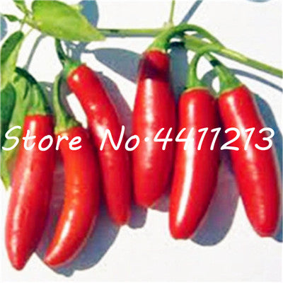 200Pcs Vegetable fruit pepper Bonsai, Giant chili plants + sweet pepper + Carolina Reaper" + hot chilli bonsai plant potted