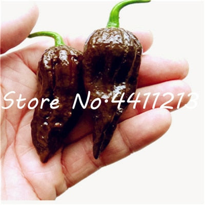 200Pcs Vegetable fruit pepper Bonsai, Giant chili plants + sweet pepper + Carolina Reaper" + hot chilli bonsai plant potted