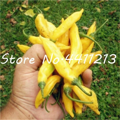 200Pcs Vegetable fruit pepper Bonsai, Giant chili plants + sweet pepper + Carolina Reaper" + hot chilli bonsai plant potted