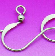 100pcs DIY Earring Findings Earrings Clasps Hooks Fittings DIY Jewelry Making Accessories Hook Earwire Jewelry
