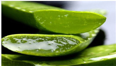 Sale !50 Pcs Green Aloe Vera Plants Edible Beauty Edible Cosmetic Vegetables And Fruit Bonsai Herb Tree Plants For Home & Garden