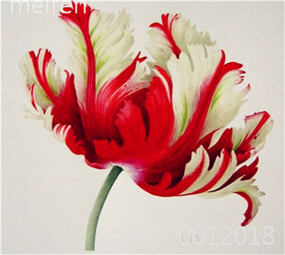 100 Pcs Bonsai Mixed Tulip Plants, flowers seedling outdoor, Semenata of flowers perennial, Planting Simple for Home & Garden