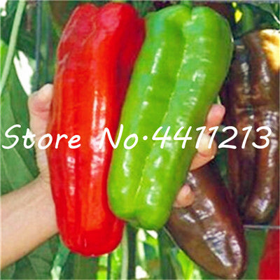 200Pcs Vegetable fruit pepper Bonsai, Giant chili plants + sweet pepper + Carolina Reaper" + hot chilli bonsai plant potted