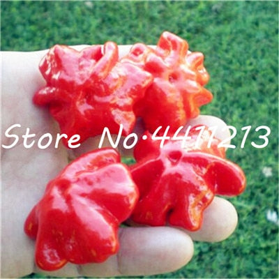 200Pcs Vegetable fruit pepper Bonsai, Giant chili plants + sweet pepper + Carolina Reaper" + hot chilli bonsai plant potted
