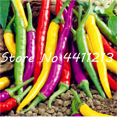 200Pcs Vegetable fruit pepper Bonsai, Giant chili plants + sweet pepper + Carolina Reaper" + hot chilli bonsai plant potted